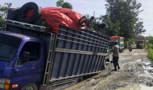 Bawa Arang Tempurung, Truck Fuso Tak Mampu Lewati Medan Sulit Ruas Trans Bualemo