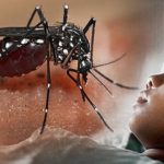 Awas ! Nyamuk Demam Berdarah Bisa Menyerang Kapan Saja, Banggai 16 Kasus