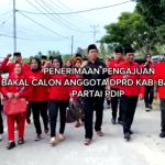 Herwin Yatim Boyong 35 Bacaleg, Kantor KPU Banggai Memerah