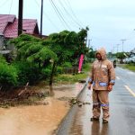 Banjir Moilong Banggai, Mulyo Harjo Luapan Air Mulai Surut
