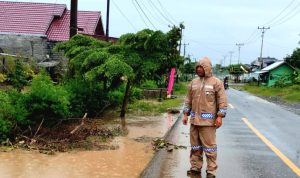 Banjir Moilong Banggai, Mulyo Harjo Luapan Air Mulai Surut