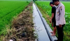 Balita 1,6 Tahun Tenggelam Dalam Saluran Irigasi di Moilong Banggai