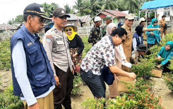 Kampung Sayur KWT Monsuani Tano di Desa Nonong Batui Diverifikasi Tim Bappenas