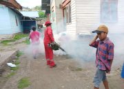 Dinkes Banggai Mulai Gencar Lakukan Fogging di Tontouan, Antisipasi Penyakit DBD