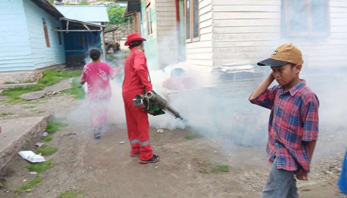 Dinkes Banggai Mulai Gencar Lakukan Fogging di Tontouan, Antisipasi Penyakit DBD