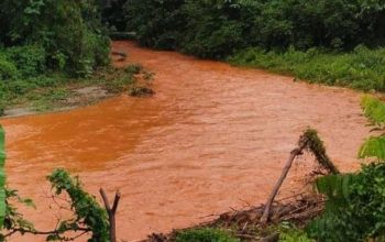 Sungai Pongian Berubah Warna, Komisi II DPRD Banggai Pernah Keluarkan Rekomendasi