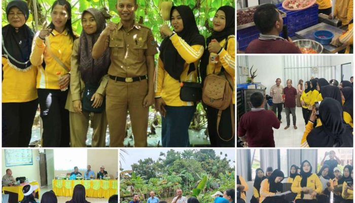 Bidang Holtikultura TPHP Banggai Gagas Aksi Perubahan “GEMARI PANGAN PEDAS” Komoditi Cabe Rawit