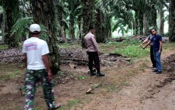 Warga Poyang Balantak Selatan Ditemukan Tewas di Perkebunan Sawit Milik PT KLS