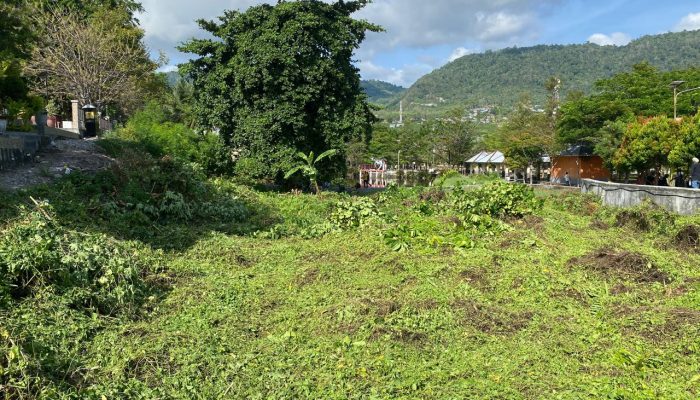 Peringati Hari Bakti PU, PUPR Banggai Gelar Aksi Bersih Bersih RTH Teluk Lalong Luwuk