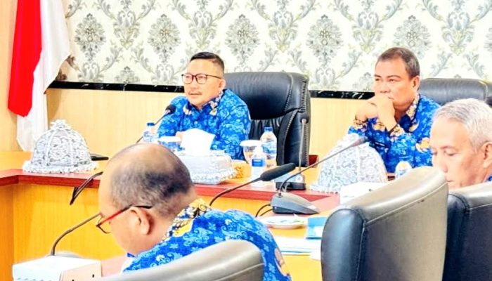 Bupati Se-Sulteng Mengikuti Entry Meeting LKPD 2024 dengan BPK-RI