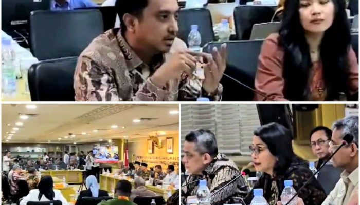 Senator Asal Sulteng Andhika Mayrizal Amir Desak Menkeu Sri Mulyani, DBH Sulteng Dinaikkan