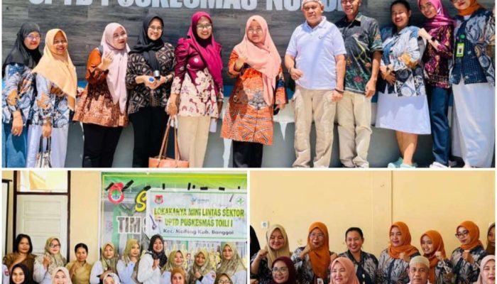 Bidang Kesmas Dinkes Banggai Programkan Bimbingan Teknis KIA di 27 Puskesmas