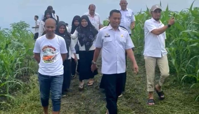 Petani Desa Lumpoknyo Luwuk Uji Coba Teknis Penanaman Komoditi Wortel