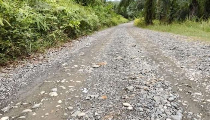 Jalan Rusak Tak Diperbaiki PT KLS, Kades : Pemda Banggai Sudah Lakukan Survey Pengukuran