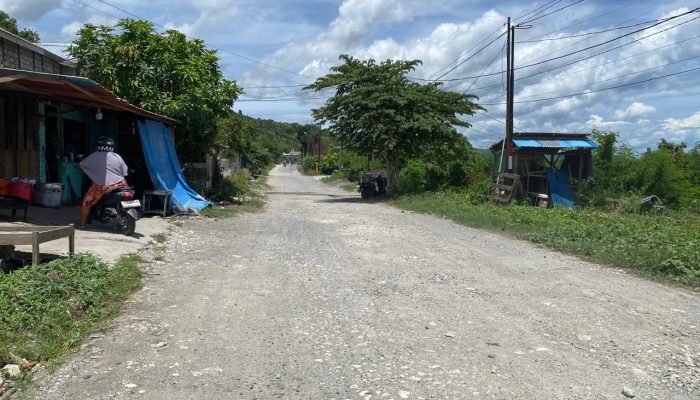 Usulan Musrenbang 2025, Plt Kadis PUPR Banggai Akui Pemeliharaan Infrastruktur Jalan Masih Mendominasi