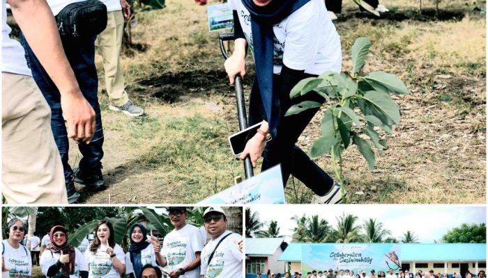 Peduli Lingkungan Sejak Dini, SKK Migas-PEP Donggi Matindok Field Tanam 2.600 Bibit Pohon