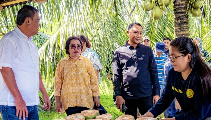 Sekda Ramli Tongko Tinjau Pembibitan Kelapa Bido di Manado, Jajaki Komoditas Unggulan