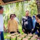 Sekda Ramli Tongko Tinjau Pembibitan Kelapa Bido di Manado, Jajaki Komoditas Unggulan