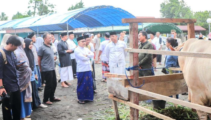 Masjid Nurul Huda Cendana Pura Dapat Bantuan Sapi Dari Prabowo, Bobot 870 Kilogram