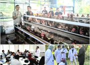 Banggai Berangkatkan 15 Peternak Unggas, Ikuti Bimtek dan Praktik di Jawa Barat