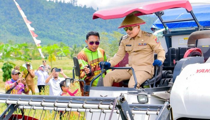 TPHP Panen Raya Padi di Kembang Merta Masama, Wujudkan Banggai Gerbang Pangan