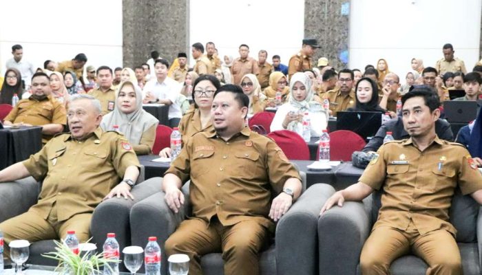 Wujudkan Sistem Pengelolaan Data Terintegrasi di Banggai, DKISP Sosialisasi DTSEN