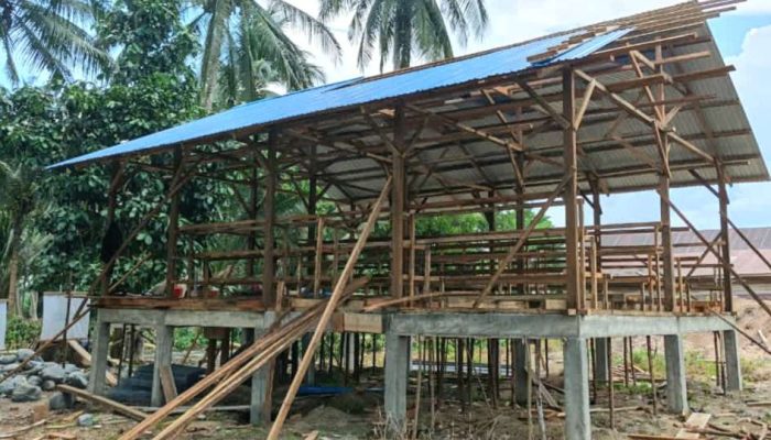 35 Kelompok Peternak di Banggai Dapat Bantuan, Dianggarkan Lewat APBD Perubahan