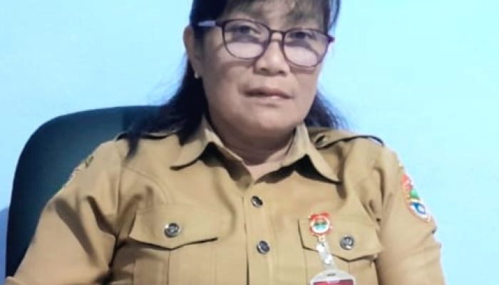 Rumah Potong Hewan Pasar Simpong Luwuk Selatan Sudah Bersertifikat Halal