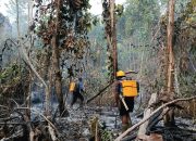 Karhutla Longkoga Barat Berangsur Dipadamkan, Berkat Gerak Cepat Polsek Bualemo