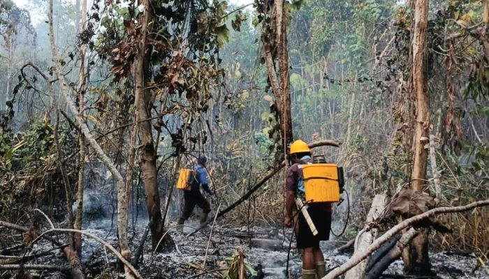 Karhutla Longkoga Barat Berangsur Dipadamkan, Berkat Gerak Cepat Polsek Bualemo